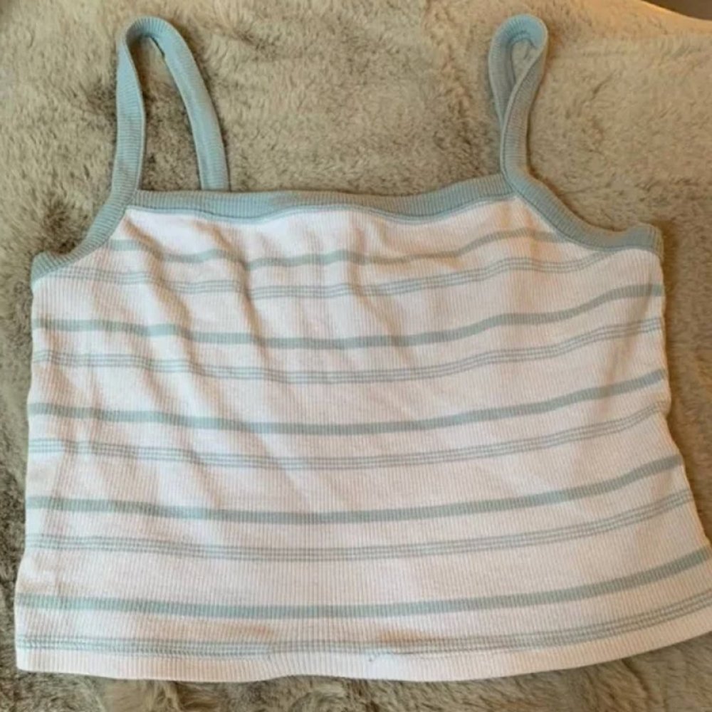 Pacsun Basics blue and white stripe crop tank